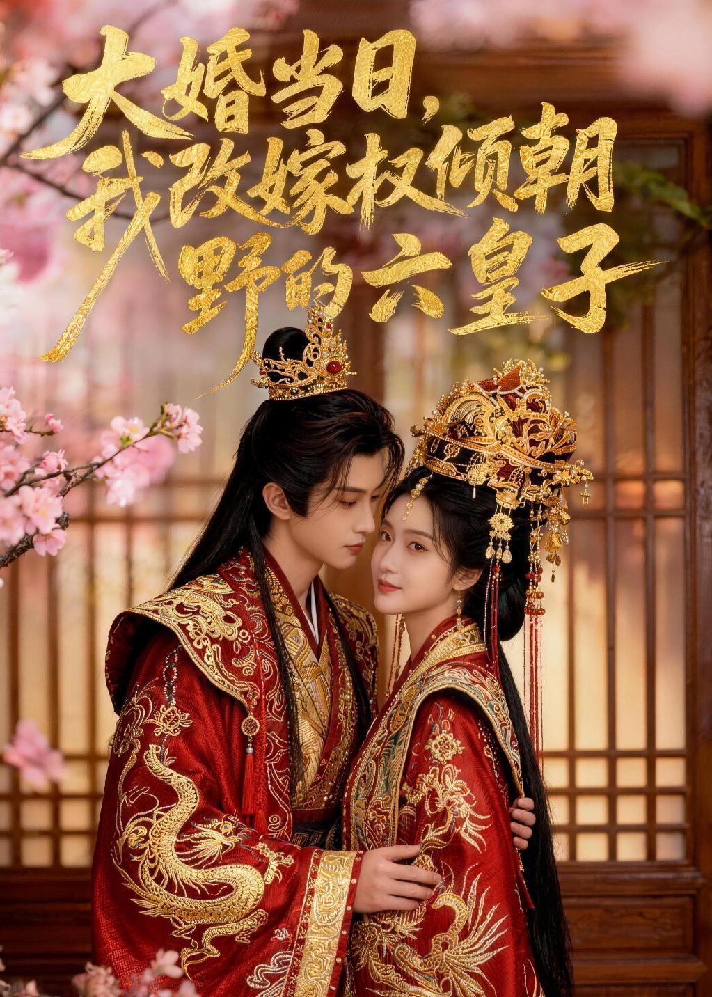 大婚当日，我改嫁权倾朝野的六皇子(全集)