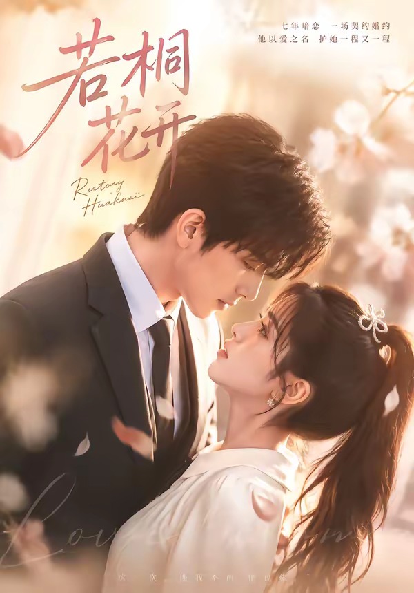 若桐花开(全集)