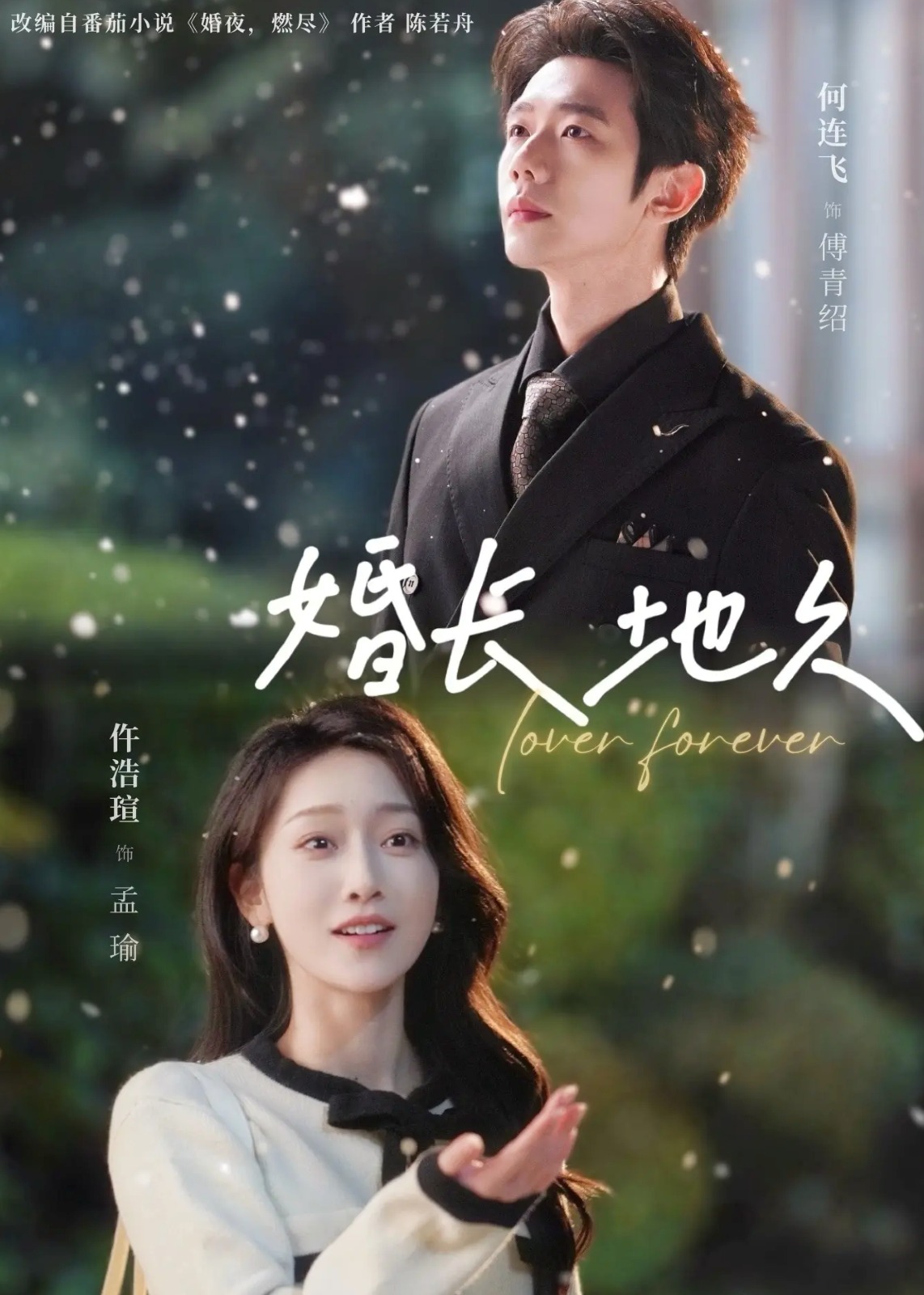 婚长地久(全集)