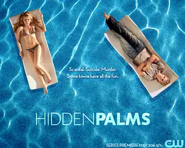 棕榈镇疑云 第02集