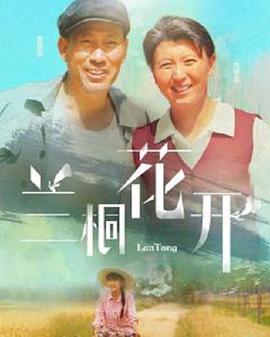 兰桐花开 第04集