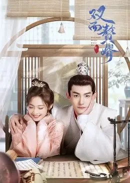 双面赘婿 第二季 第03集