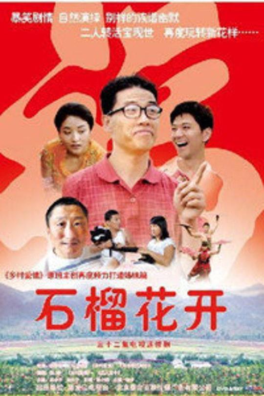 石榴花开 第14集