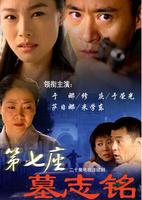 第七座墓志铭 第14集