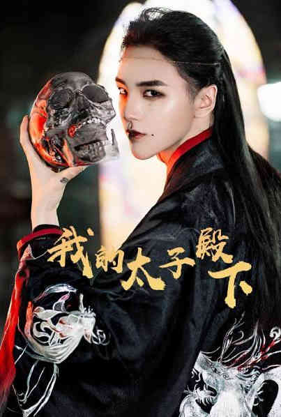 我的太子殿下 第12集