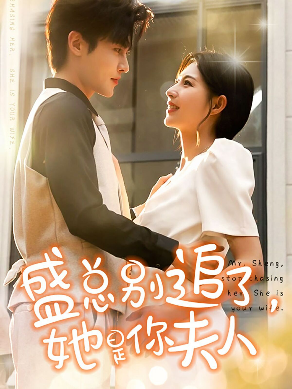 盛总别追了，她是你夫人 第1-20集