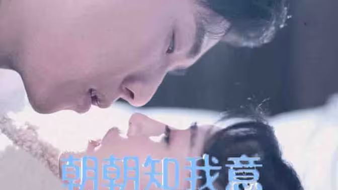朝朝知我意 第41-60集