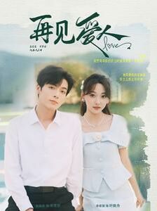 新再见爱人 第21-40集