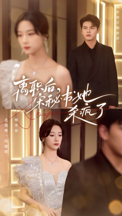 离职后，宋秘书她杀疯了 第21-40集