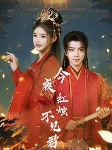 今夜红烛不见君 第41-60集