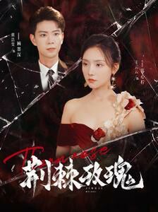 荆棘玫瑰 第61-80集