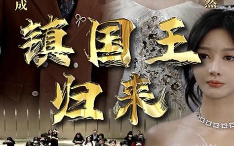 镇国王归来 第61-94集完结(大结局)