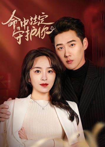 命中注定守护你 第21-40集