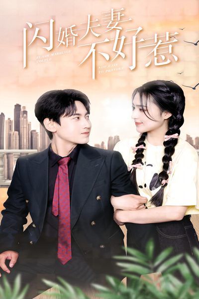 闪婚夫妻不好惹 第61-80集